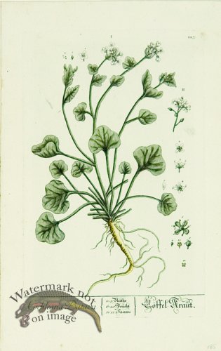 Blackwell German 069