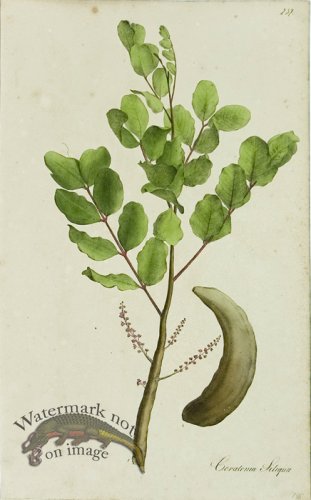 (image for) 1828_Gmp 054