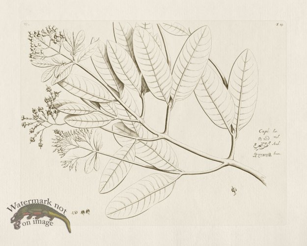 (image for) HORTUS VOL 02 23