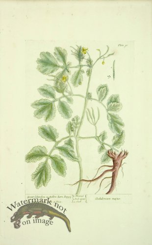 (image for) Blackwell E 56