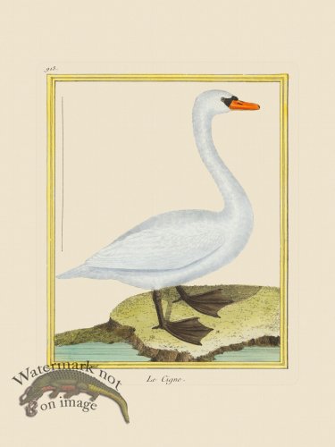 (image for) Martinet Bird 913