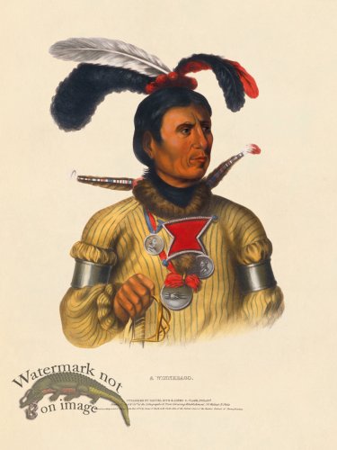 (image for) A Winnebago IE