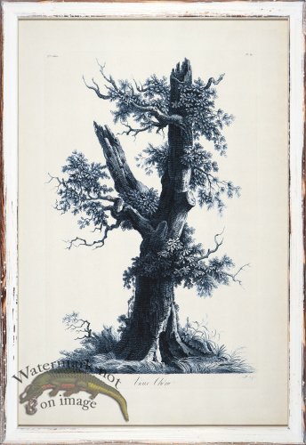 (image for) Blue Trees in Distressed White 07