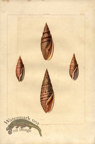 (image for) Perry pl 39