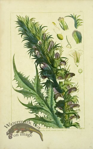 (image for) Philip Miller 002