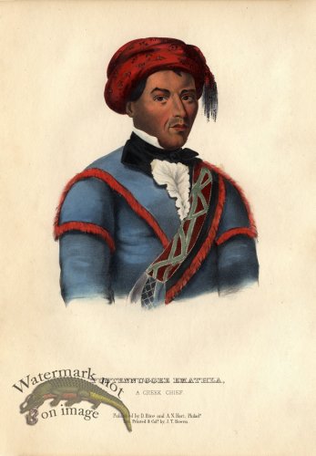 (image for) Tustennuggee Emathla