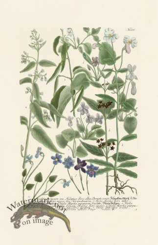 (image for) Weinmann PL 1011