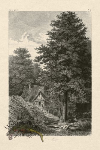 (image for) Hoefer Tree 03