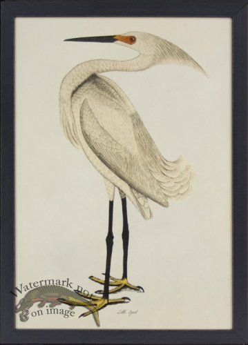 (image for) Tribute BFs 10