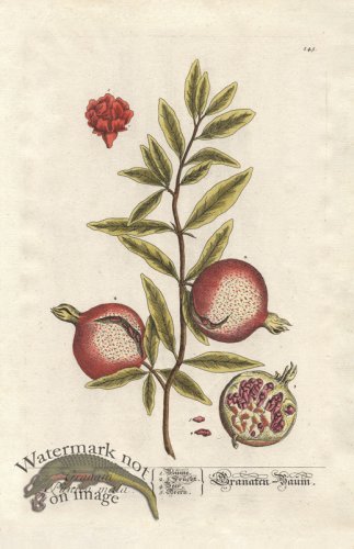 (image for) Blackwell GE 145