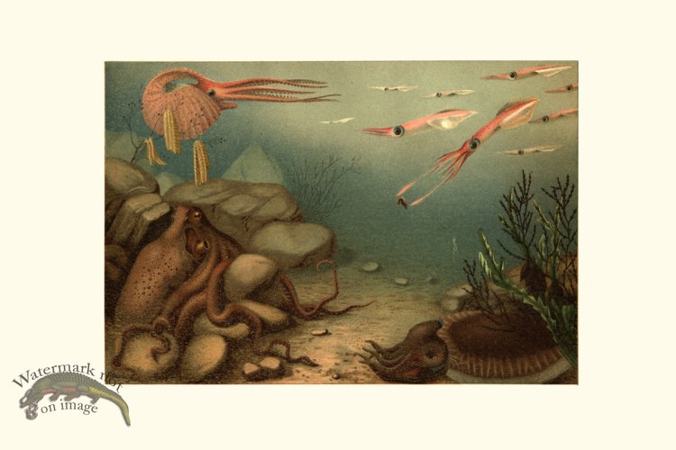 (image for) Underwater 25