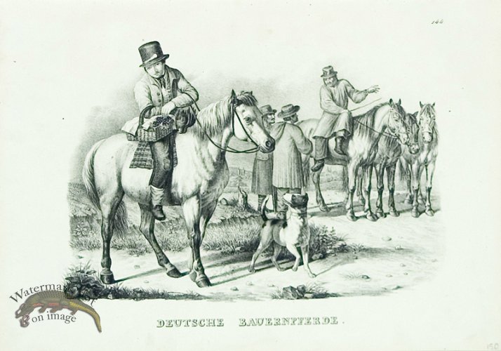 (image for) German Peasants Horse