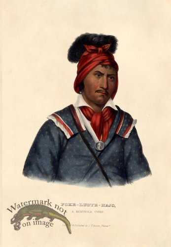 (image for) Foke-Luste-Hajo