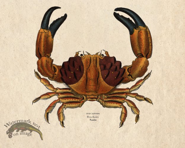 (image for) Sand_Soldier_12