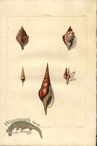 (image for) Perry pl 10