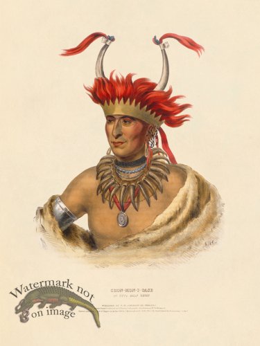 (image for) Chon-mon-i-case Otto