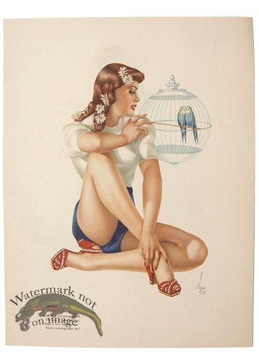 (image for) Varga Preview 16