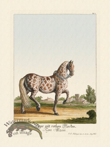 (image for) Ridingers Horses 01