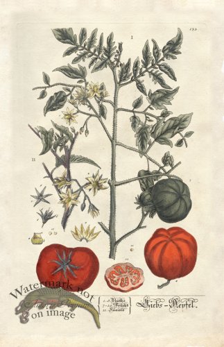 (image for) Blackwell GE 133