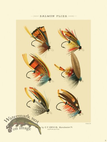 (image for) Favorite Flies 03 Salmon