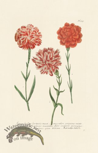 (image for) Weinmann PL 339