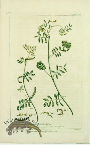 (image for) Philip Miller 102