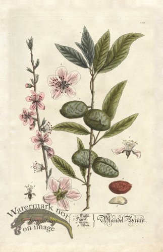 (image for) Blackwell GE 105