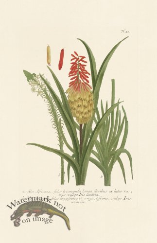 (image for) Weinmann PL 045