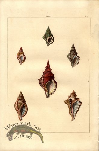 (image for) Perry pl 14