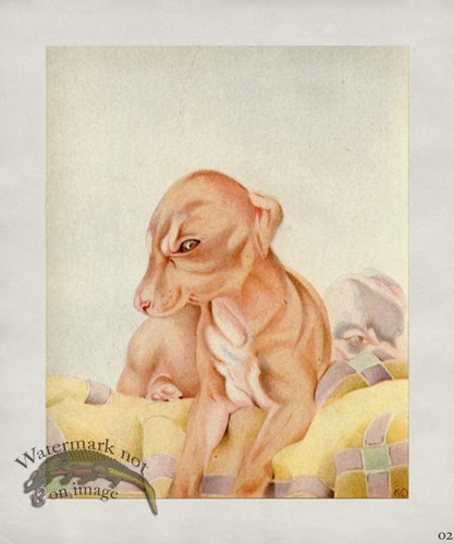 (image for) Puppy Dog 02