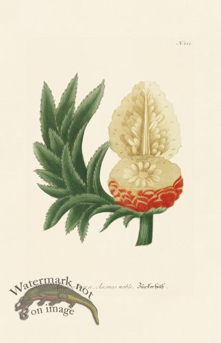 (image for) Weinmann PL 115