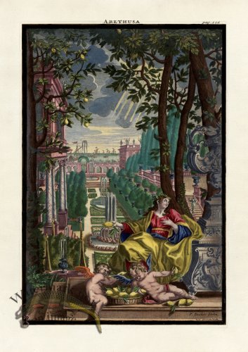 (image for) Volckamer 098