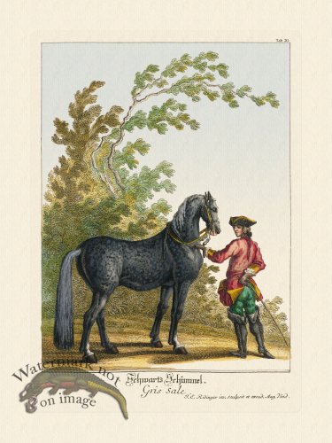 (image for) Ridingers Horses 20