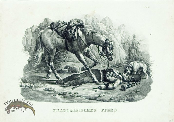 (image for) French Horse