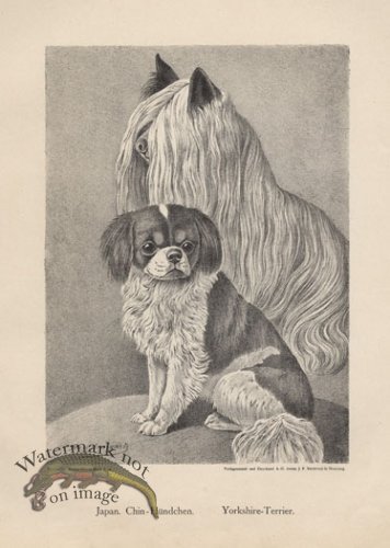 (image for) 1890s Dogs 02