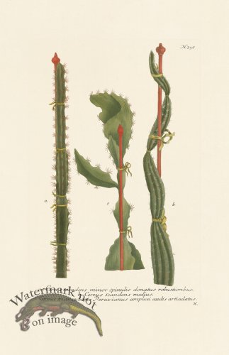 (image for) Weinmann PL 358