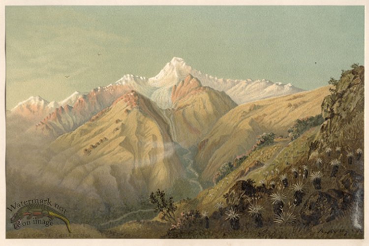 (image for) Tropical View 7