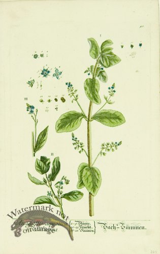 Blackwell German 099