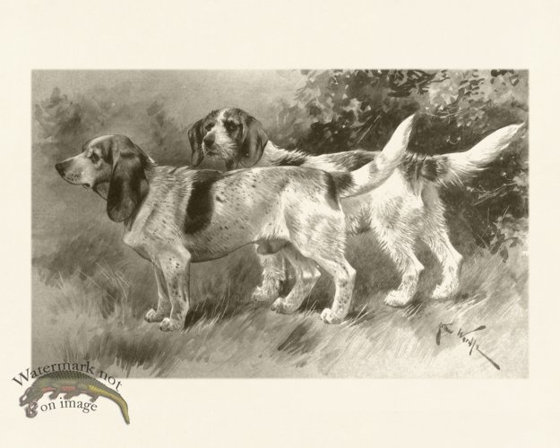 (image for) Modern Dogs 08