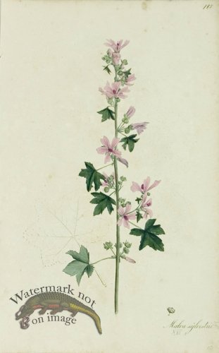 (image for) 1828_Gmp 024