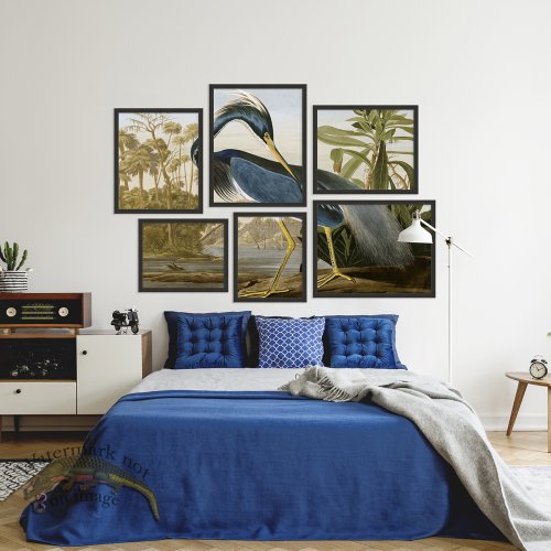 (image for) Hexad Heron by Audubon