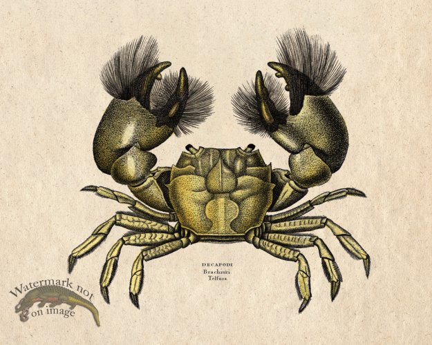 (image for) Sand_Soldier_07