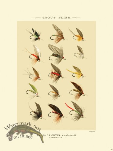 (image for) Favorite Flies 16 Trout