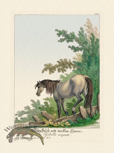 (image for) Ridingers Horses 41