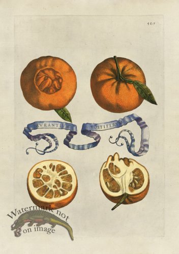 (image for) Ferrari 405