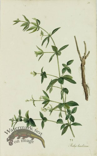 (image for) 1828_Gmp 073