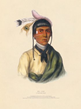 No-tin Chippewa