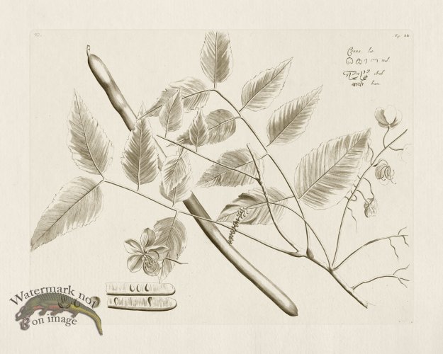 (image for) HORTUS VOL 01 22