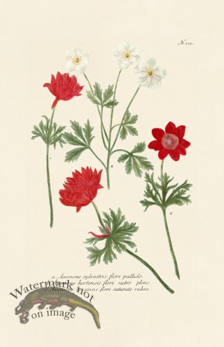 (image for) Weinmann PL 119