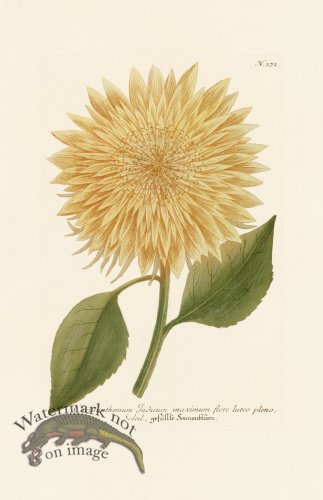 (image for) Weinmann PL 372